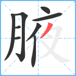 腋笔顺分解图片9