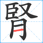 腎笔顺分解图片12