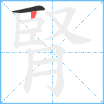 腎笔顺分解图片2