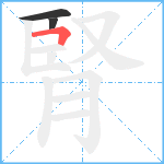 腎笔顺分解图片3