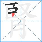 腎笔顺分解图片5