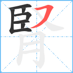 腎笔顺分解图片7