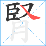 腎笔顺分解图片8