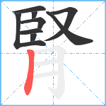 腎笔顺分解图片9