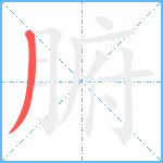 腑笔顺分解图片1