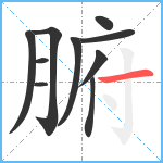 腑笔顺分解图片10