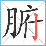 腑笔顺分解图片11