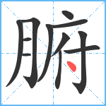 腑笔顺分解图片12