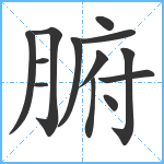 腑笔顺分解图片13