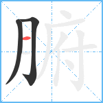 腑笔顺分解图片3