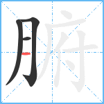 腑笔顺分解图片4