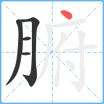 腑笔顺分解图片5