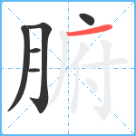 腑笔顺分解图片6