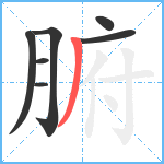 腑笔顺分解图片7