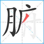 腑笔顺分解图片8