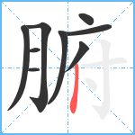 腑笔顺分解图片9