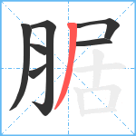 腒笔顺分解图片7