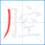 腔笔顺分解图片1