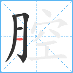 腔笔顺分解图片4