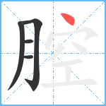 腔笔顺分解图片5