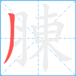 腖笔顺分解图片1