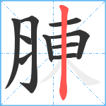 腖笔顺分解图片10