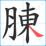 腖笔顺分解图片12