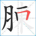 腖笔顺分解图片7