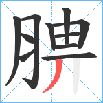 腗笔顺分解图片11