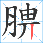 腗笔顺分解图片12