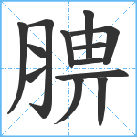 腗笔顺分解图片13