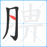 腗笔顺分解图片3