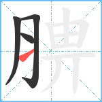 腗笔顺分解图片4