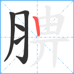 腗笔顺分解图片5