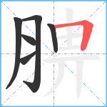 腗笔顺分解图片6