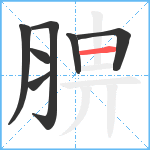 腗笔顺分解图片7