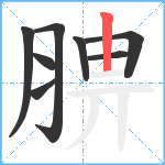 腗笔顺分解图片8