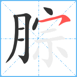 腙笔顺分解图片7