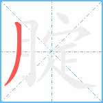 腚笔顺分解图片1