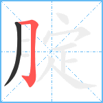 腚笔顺分解图片2