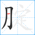 腚笔顺分解图片3