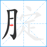 腚笔顺分解图片4