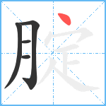 腚笔顺分解图片5