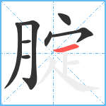 腚笔顺分解图片8