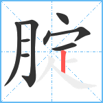 腚笔顺分解图片9