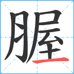 腛笔顺分解图片13