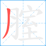 腟笔顺分解图片1