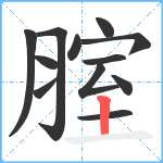 腟笔顺分解图片12