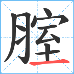 腟笔顺分解图片13