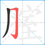 腟笔顺分解图片2